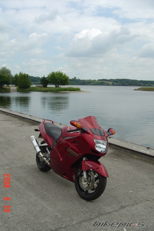 Photo 1339438