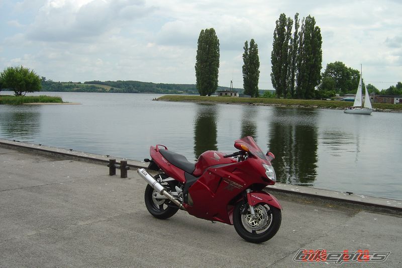 Photo 1339439