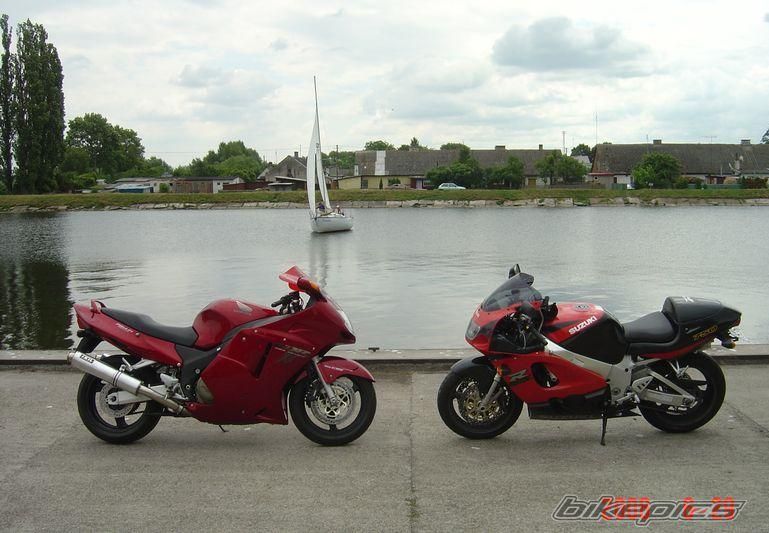 Photo 1339440