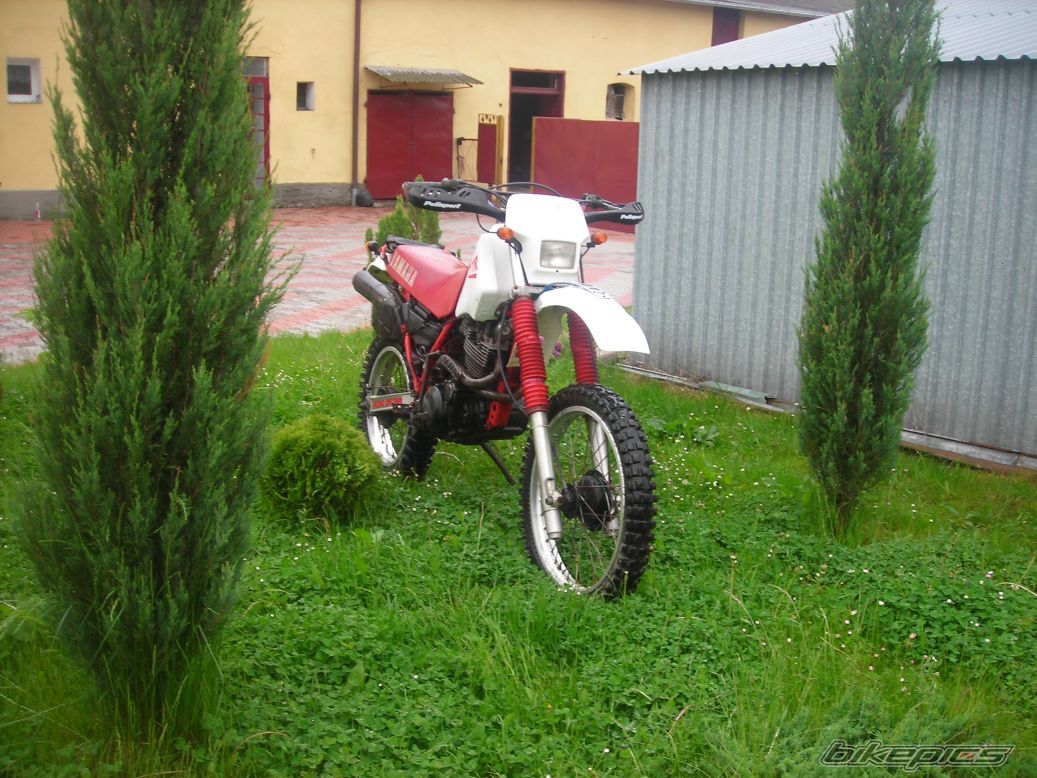 Photo 1339520