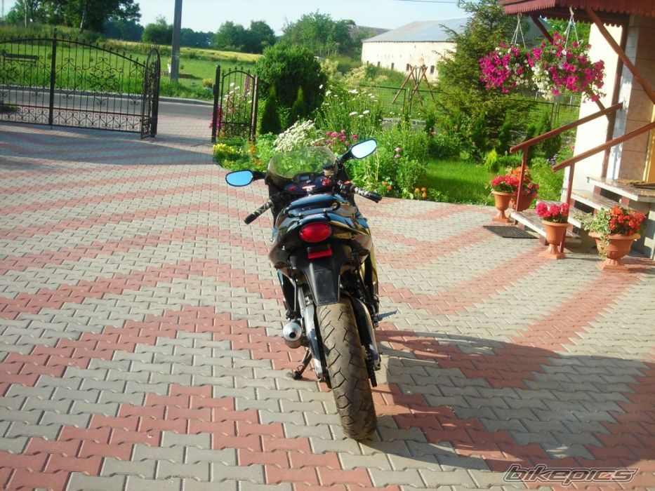 Photo 1339535