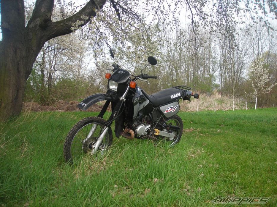 Photo 1339541
