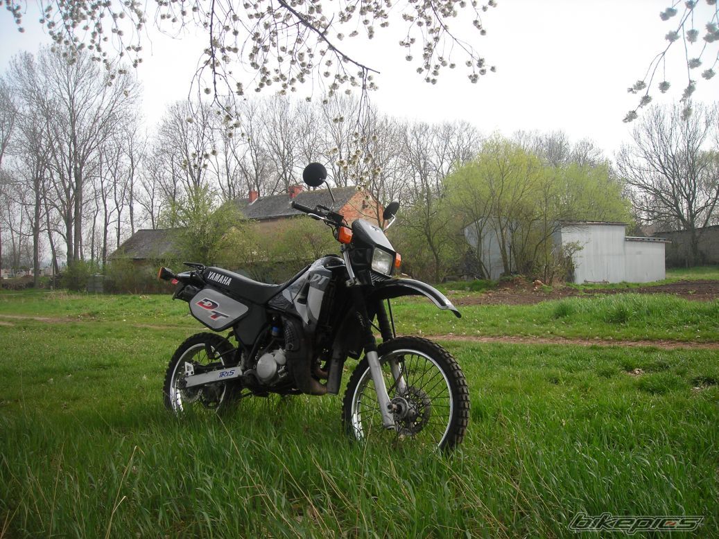 Photo 1339545
