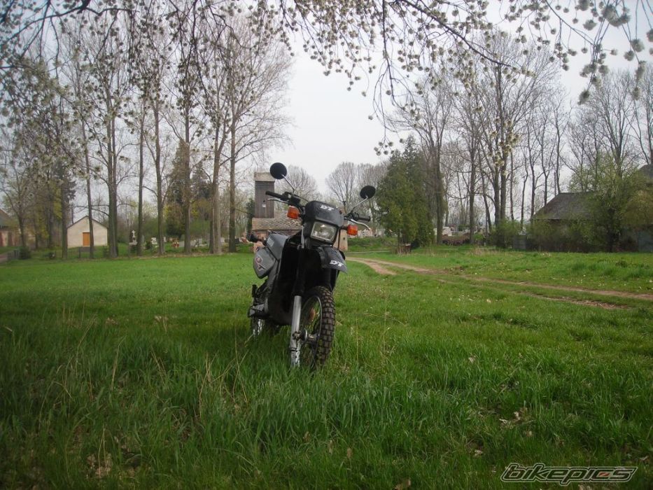 Photo 1339547