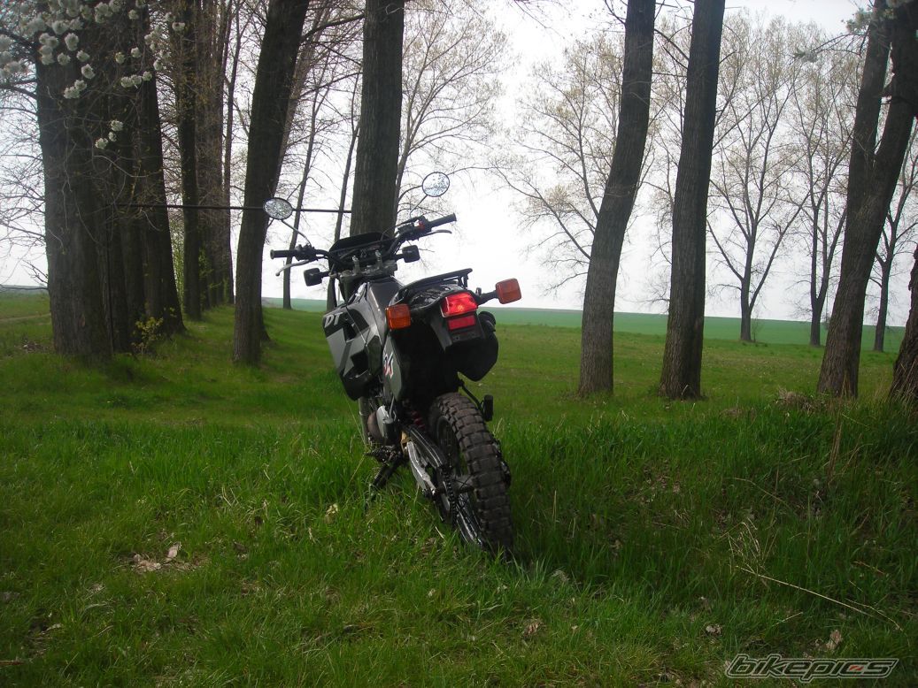 Photo 1339550