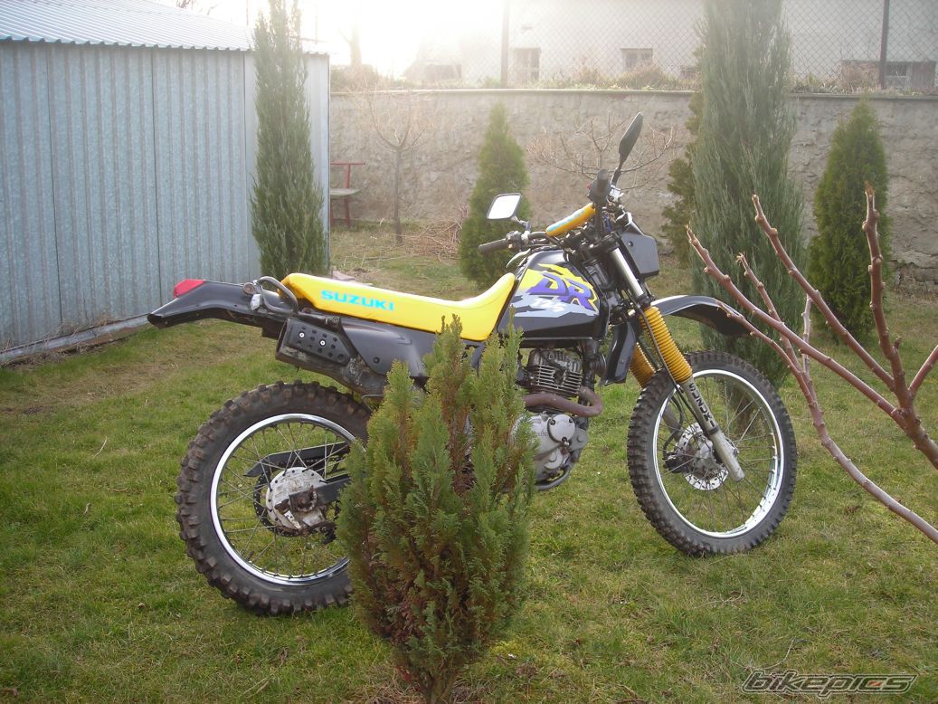 Photo 1339553