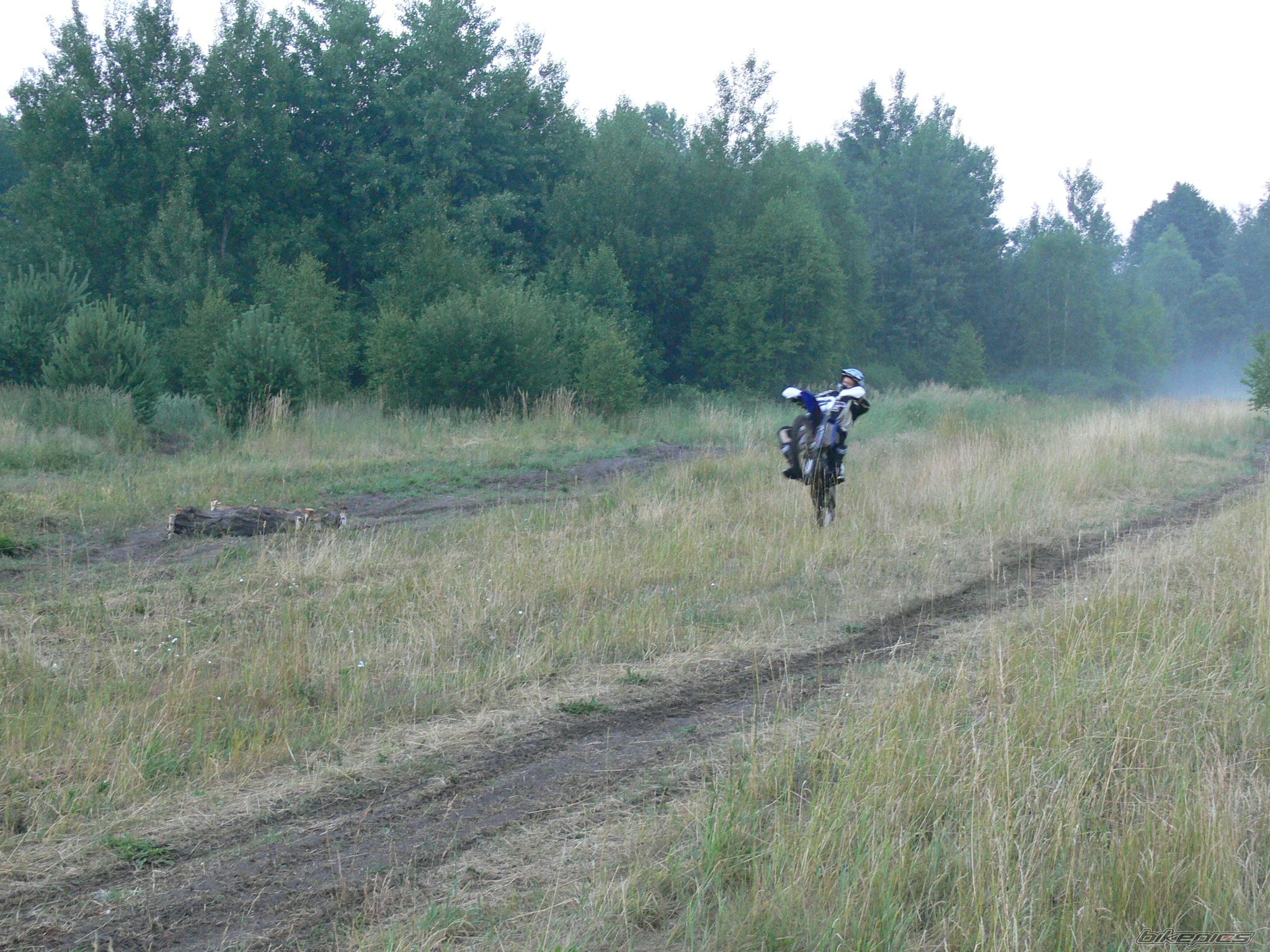 Photo 1339578