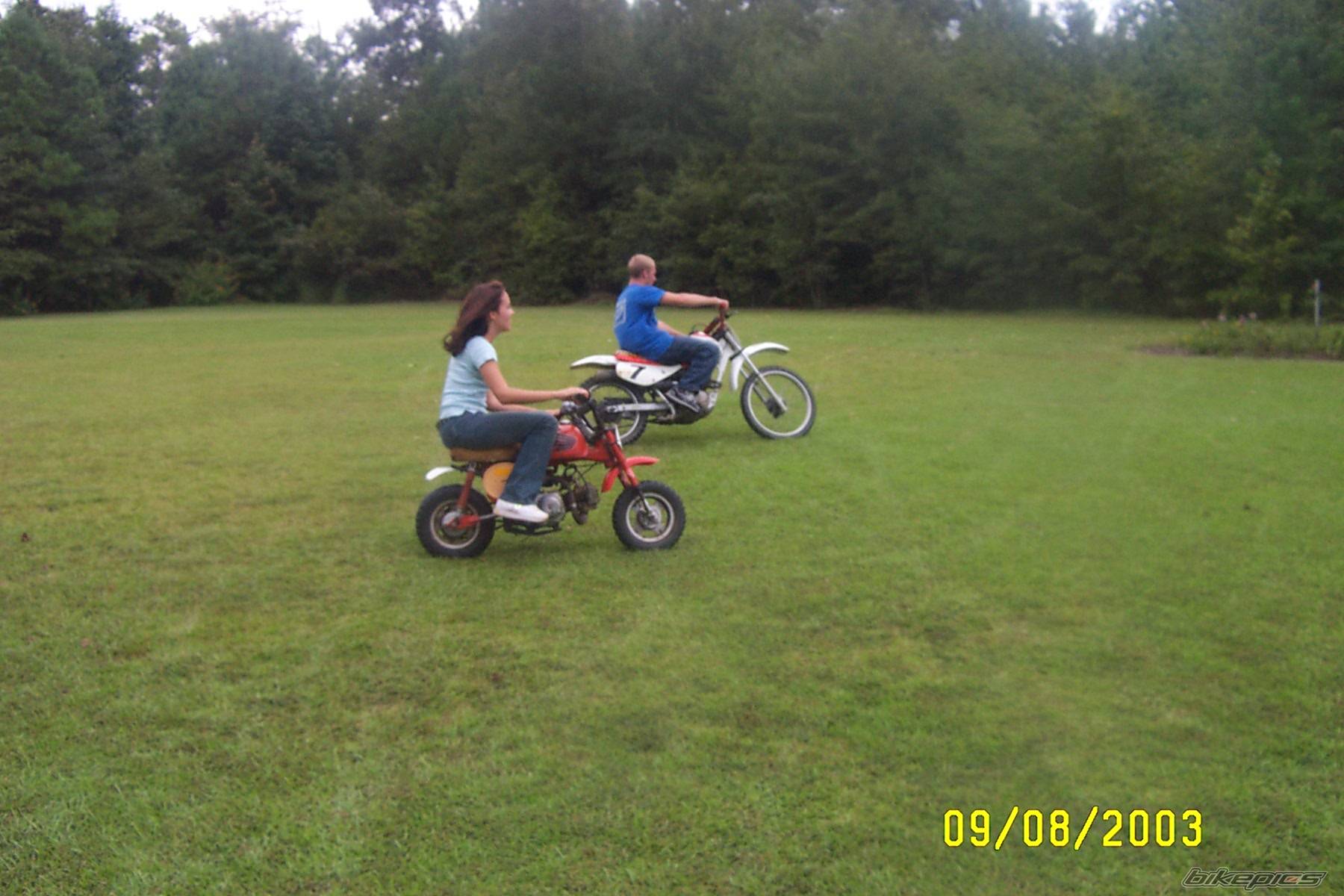Photo 133964