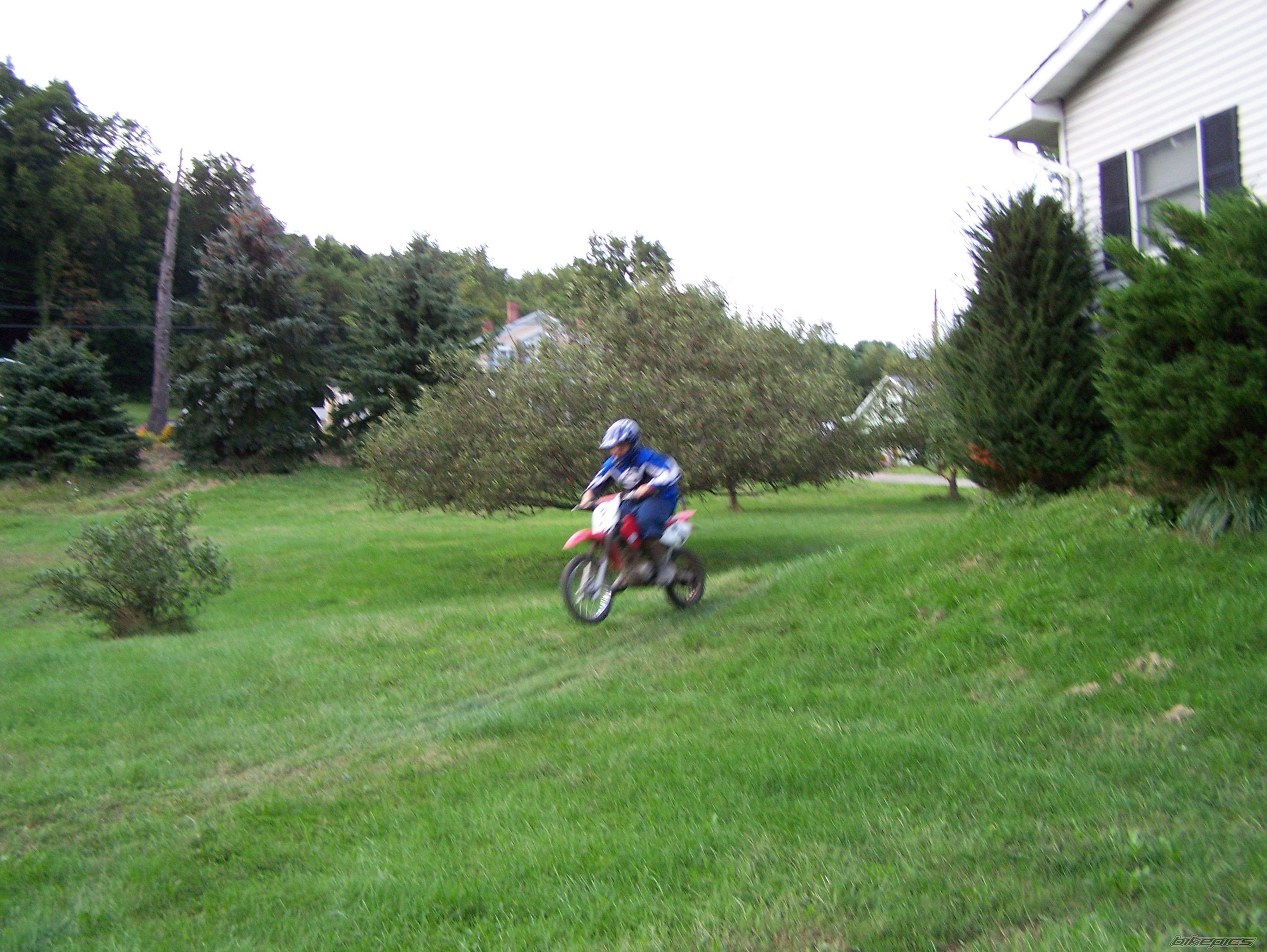 Photo 1339728