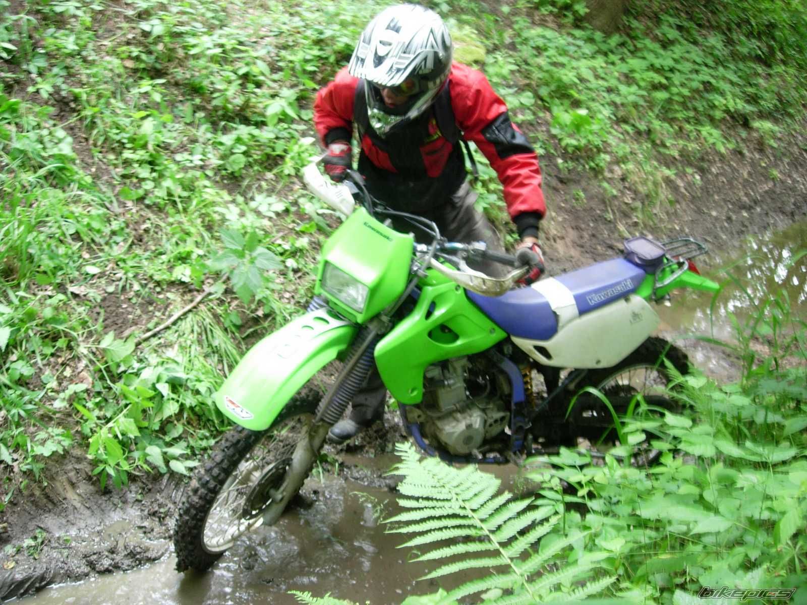 Bike Photo 1339914