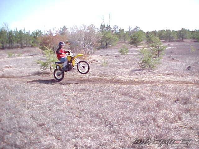 Photo 134016