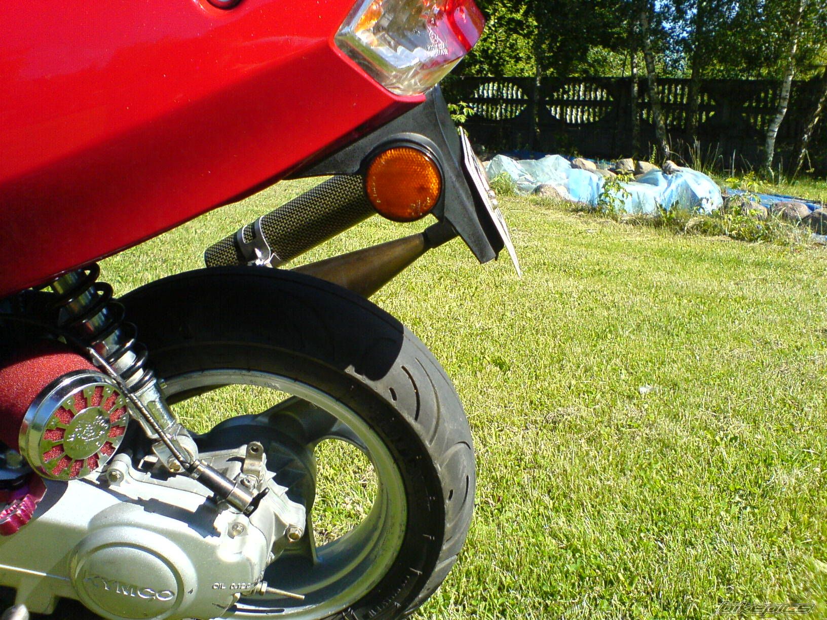 Photo 1340162