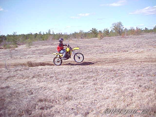 Photo 134017