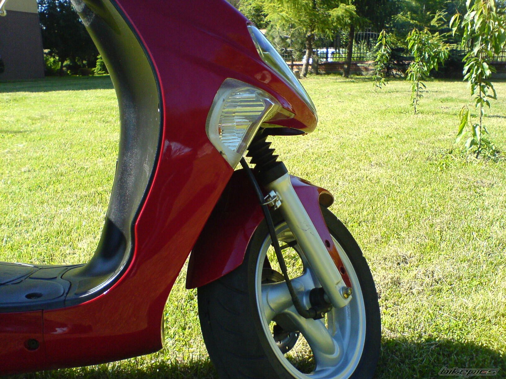 Photo 1340196