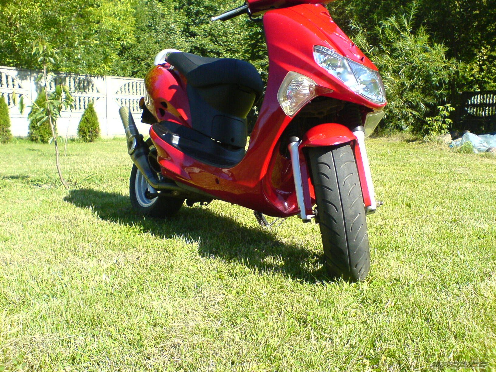 Photo 1340219