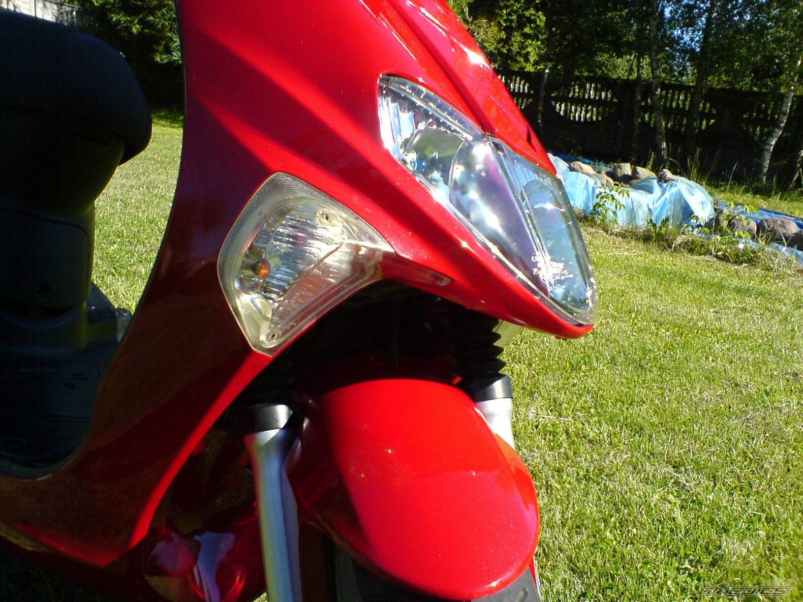 Photo 1340227