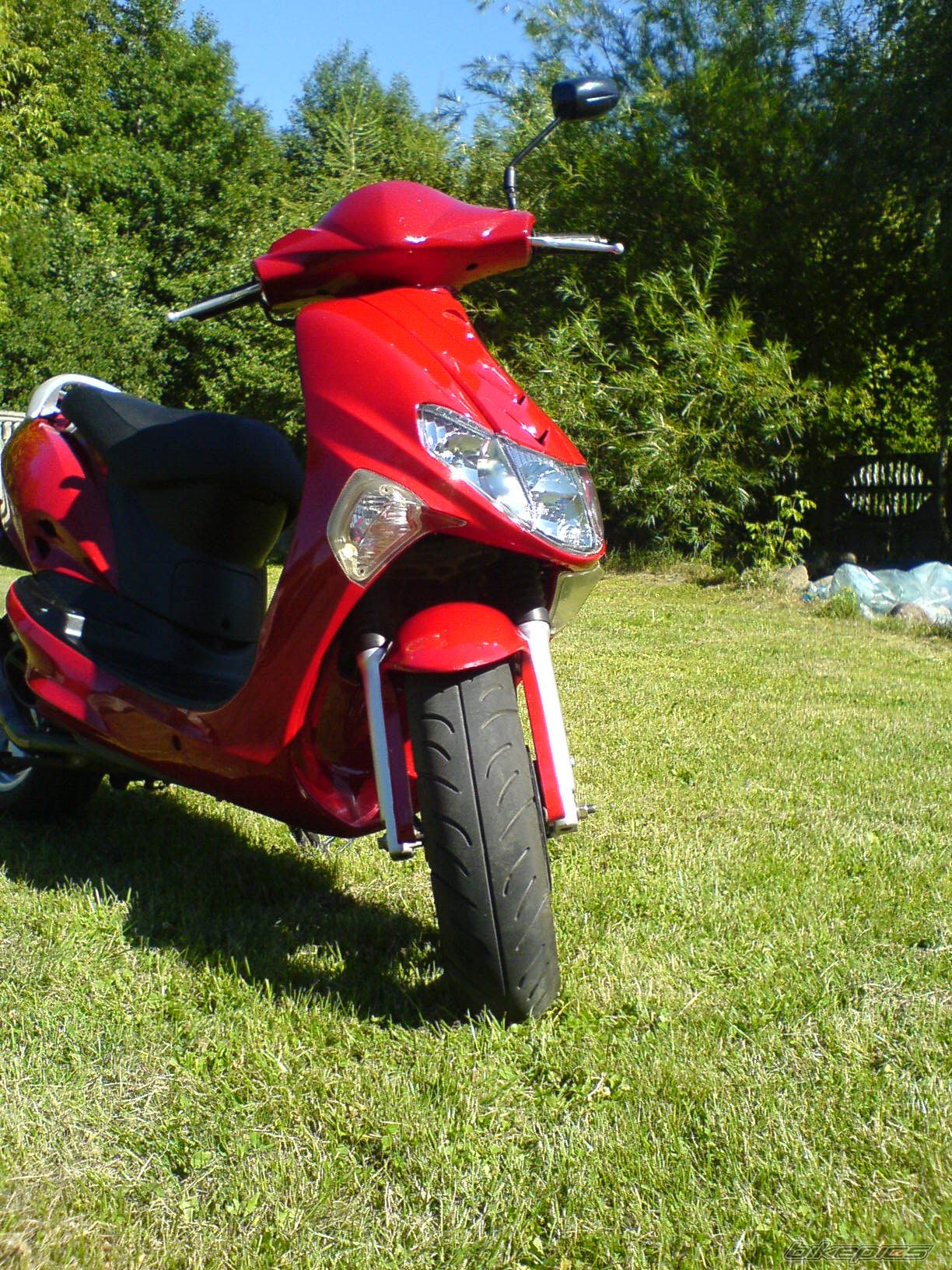 Photo 1340257