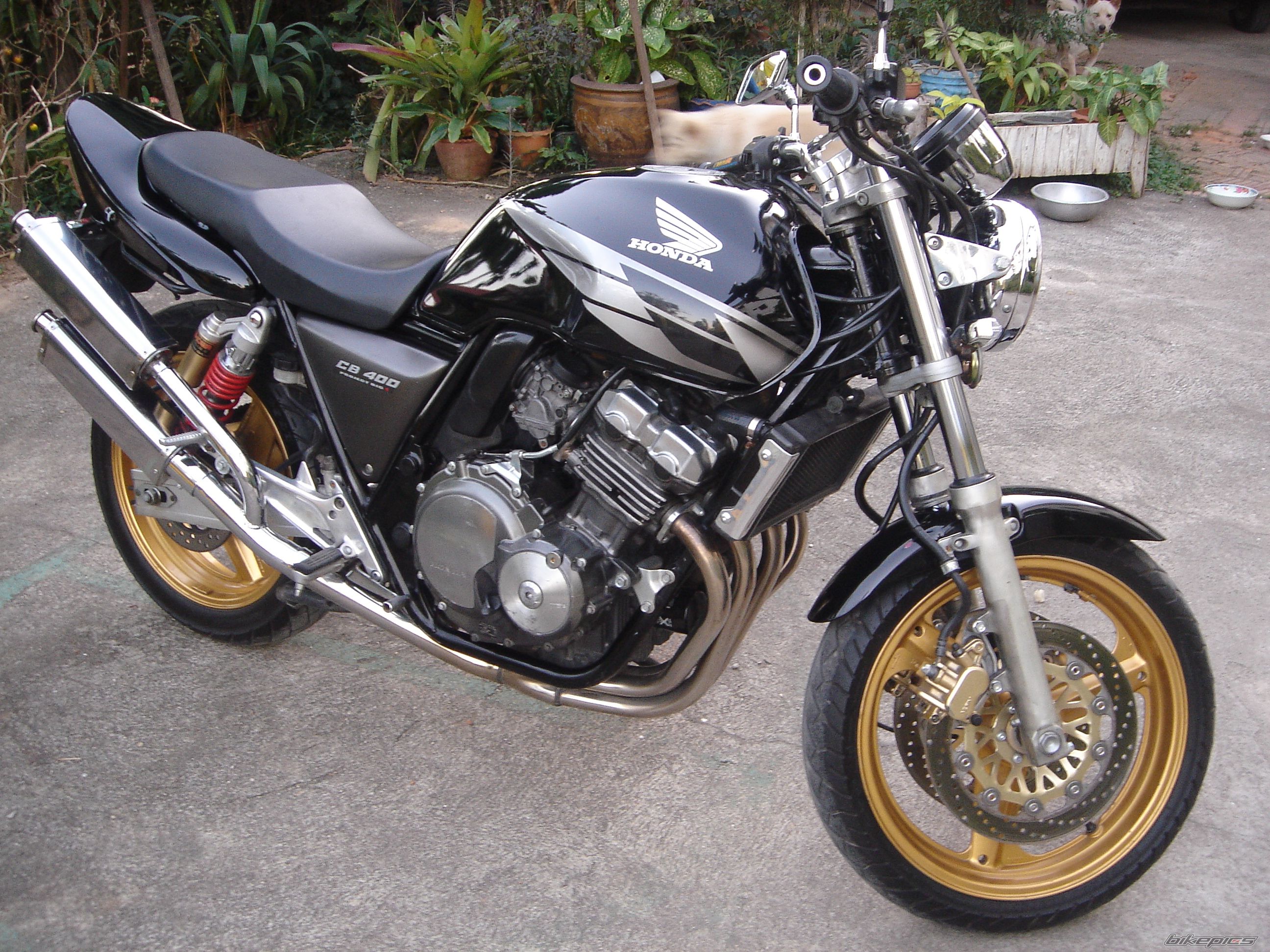 Bike Photo 1340265