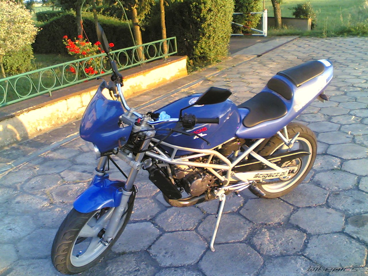 Photo 1340325