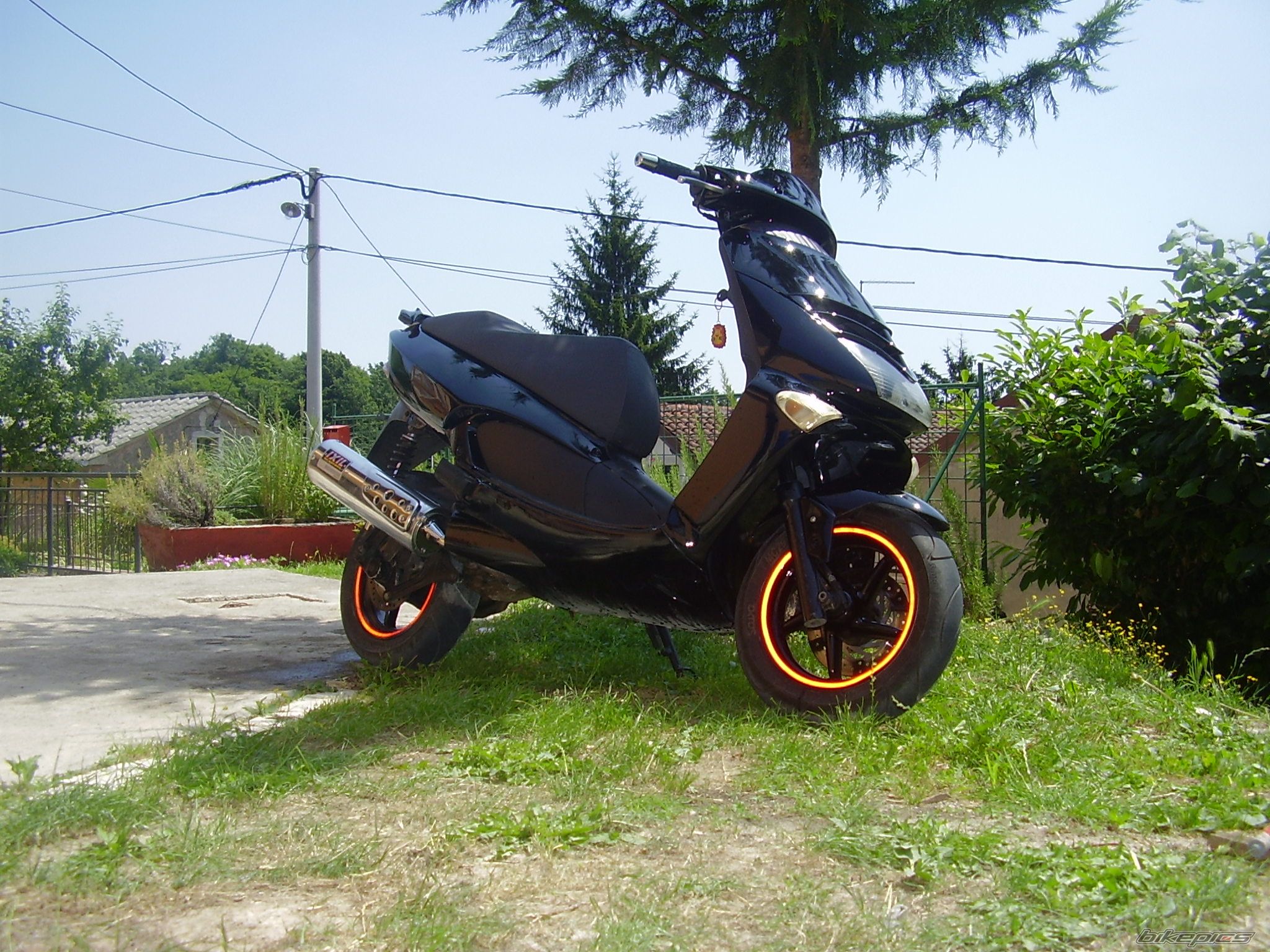 Photo 1340334