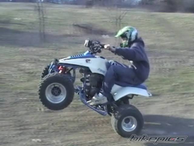 Photo 134041