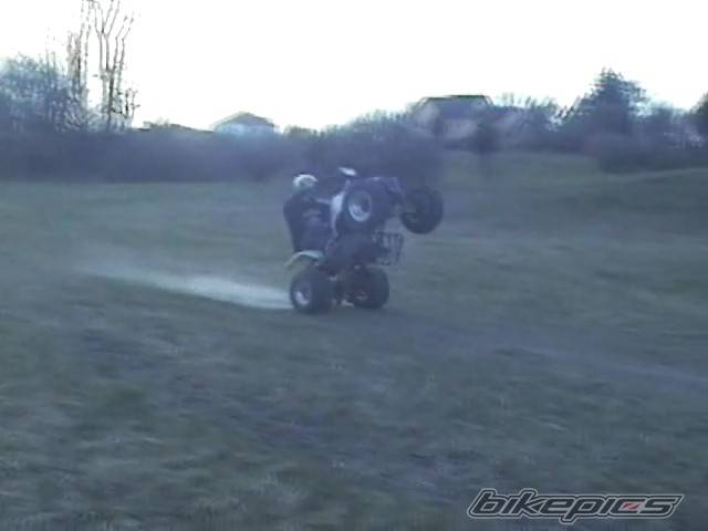Photo 134042