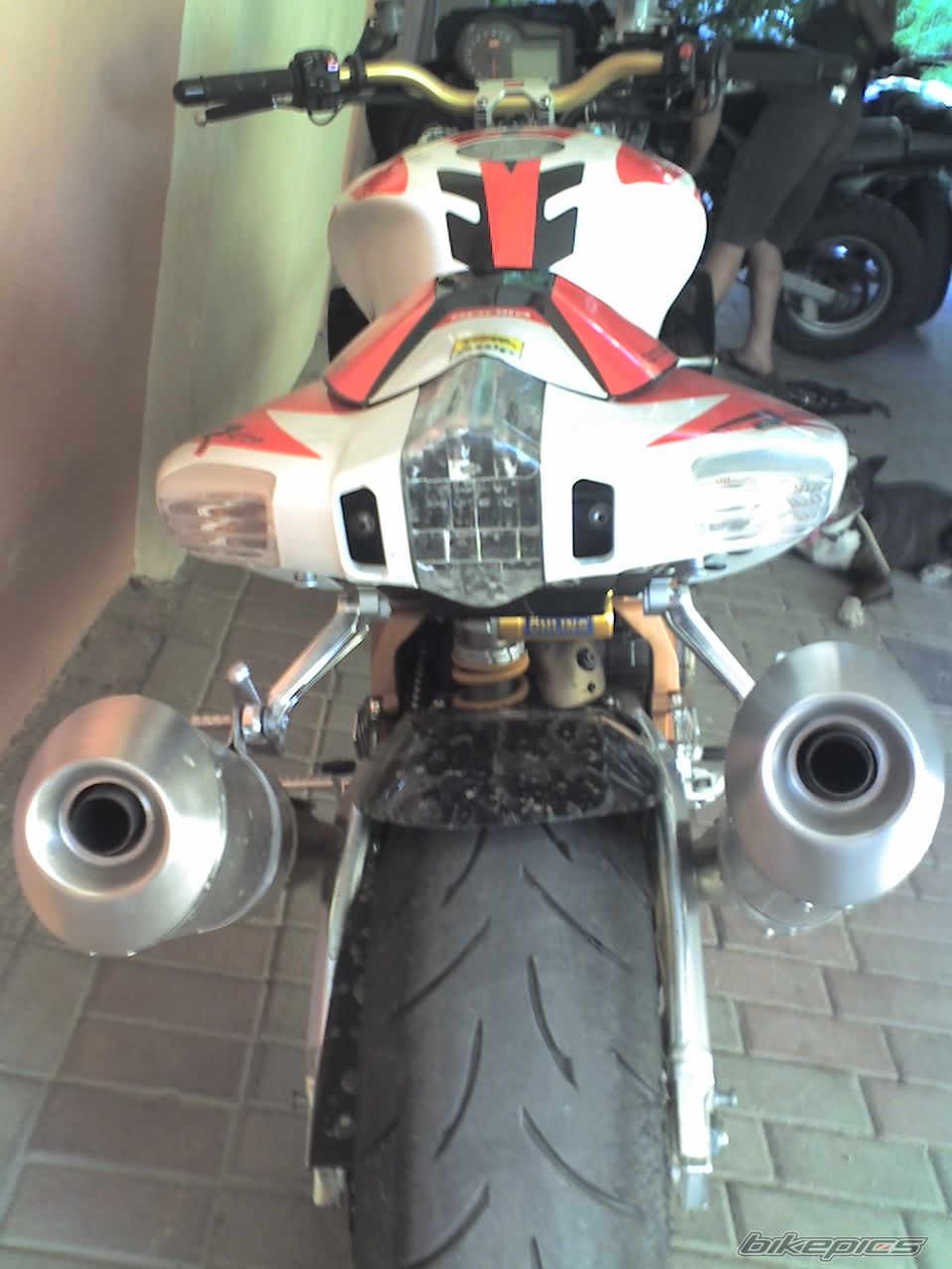 Photo 1340433