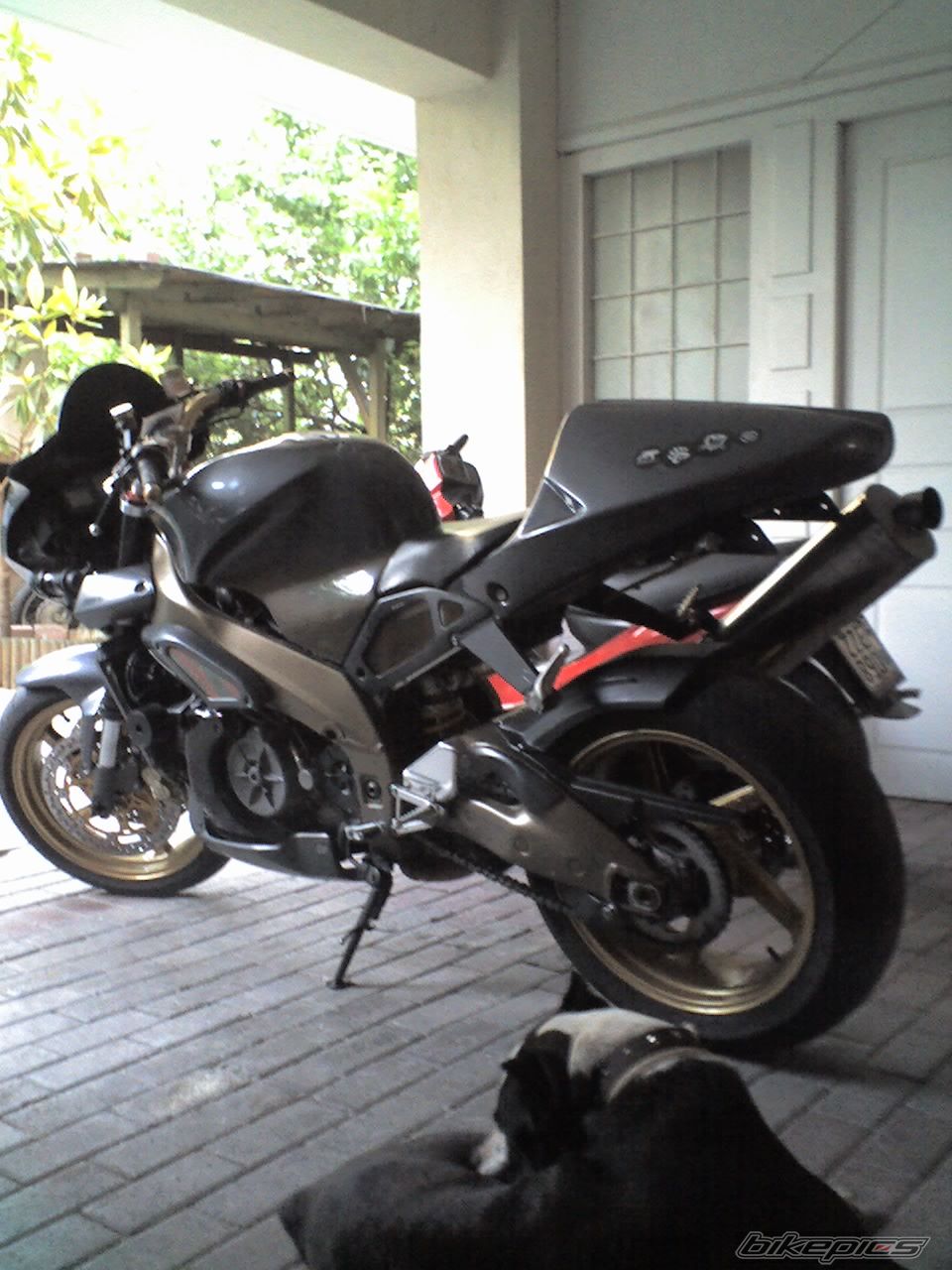 Photo 1340438