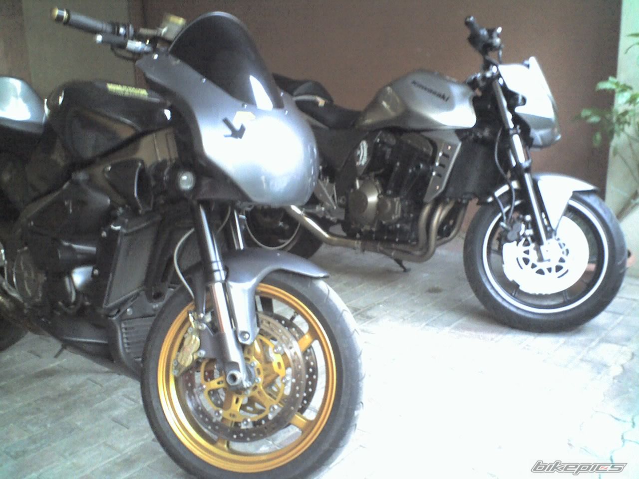 Photo 1340442