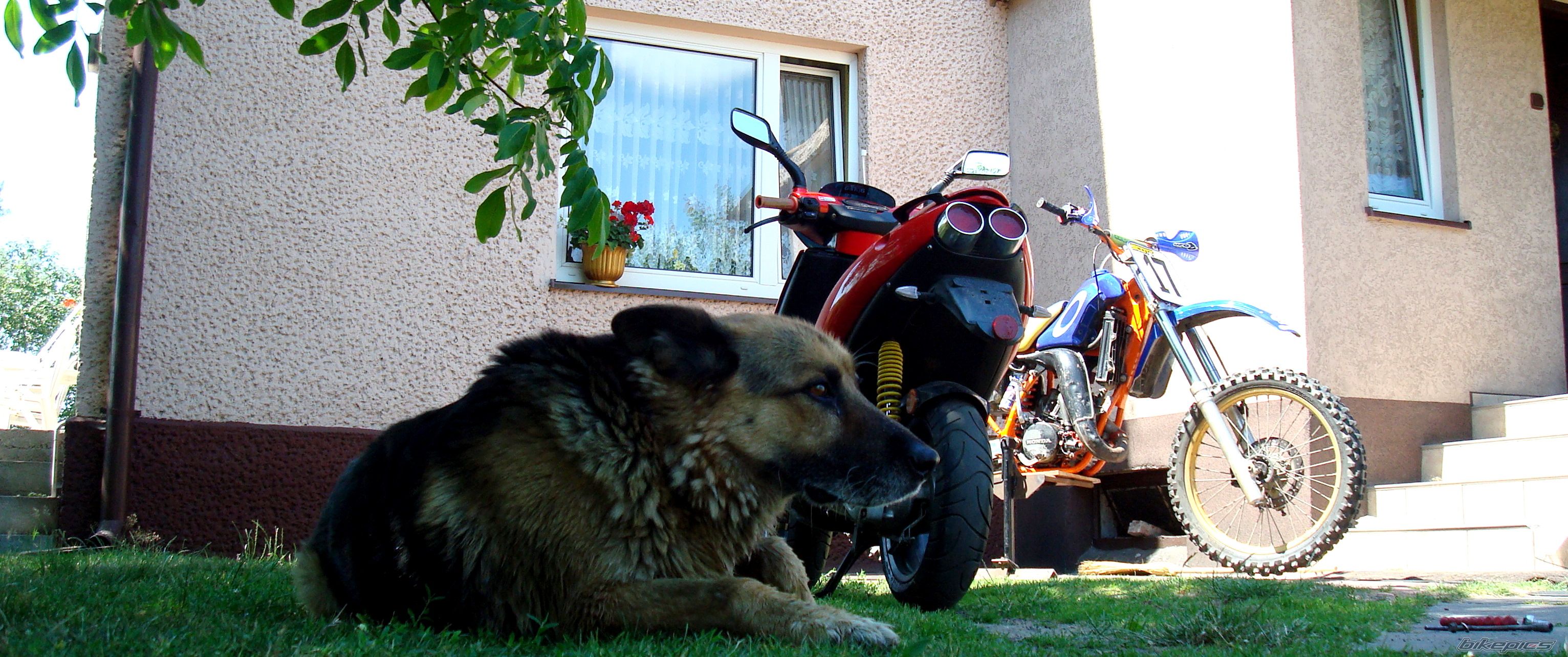 Photo 1340502