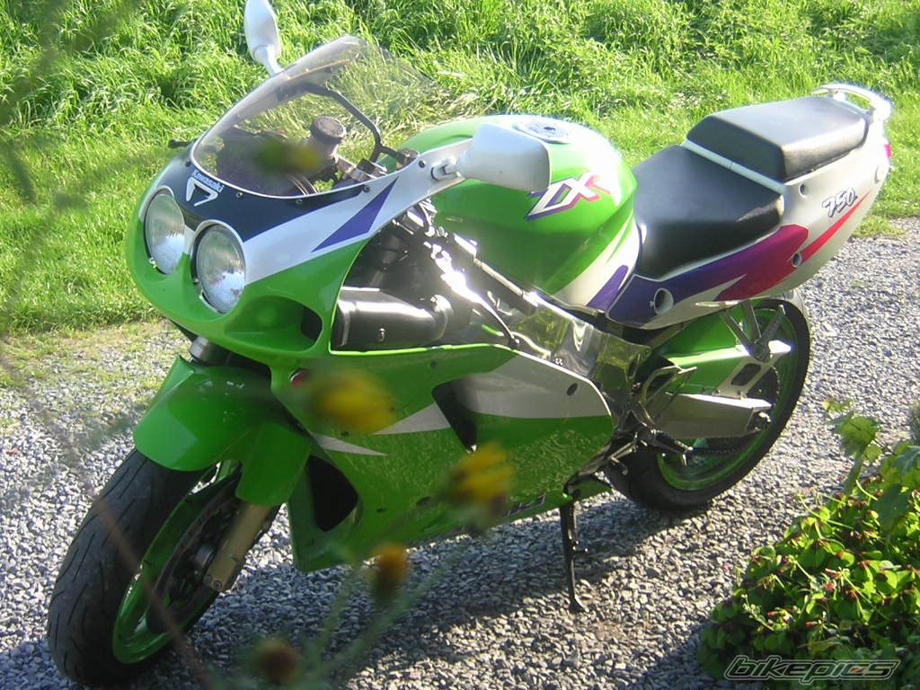 Photo 1340854