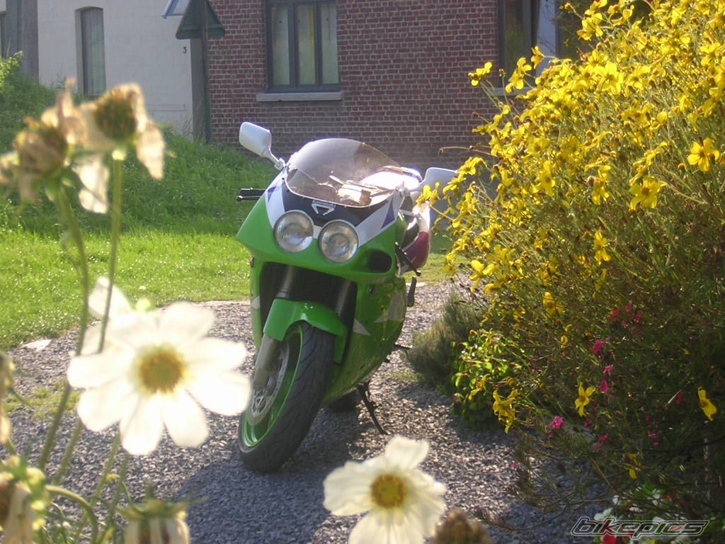 Photo 1340855