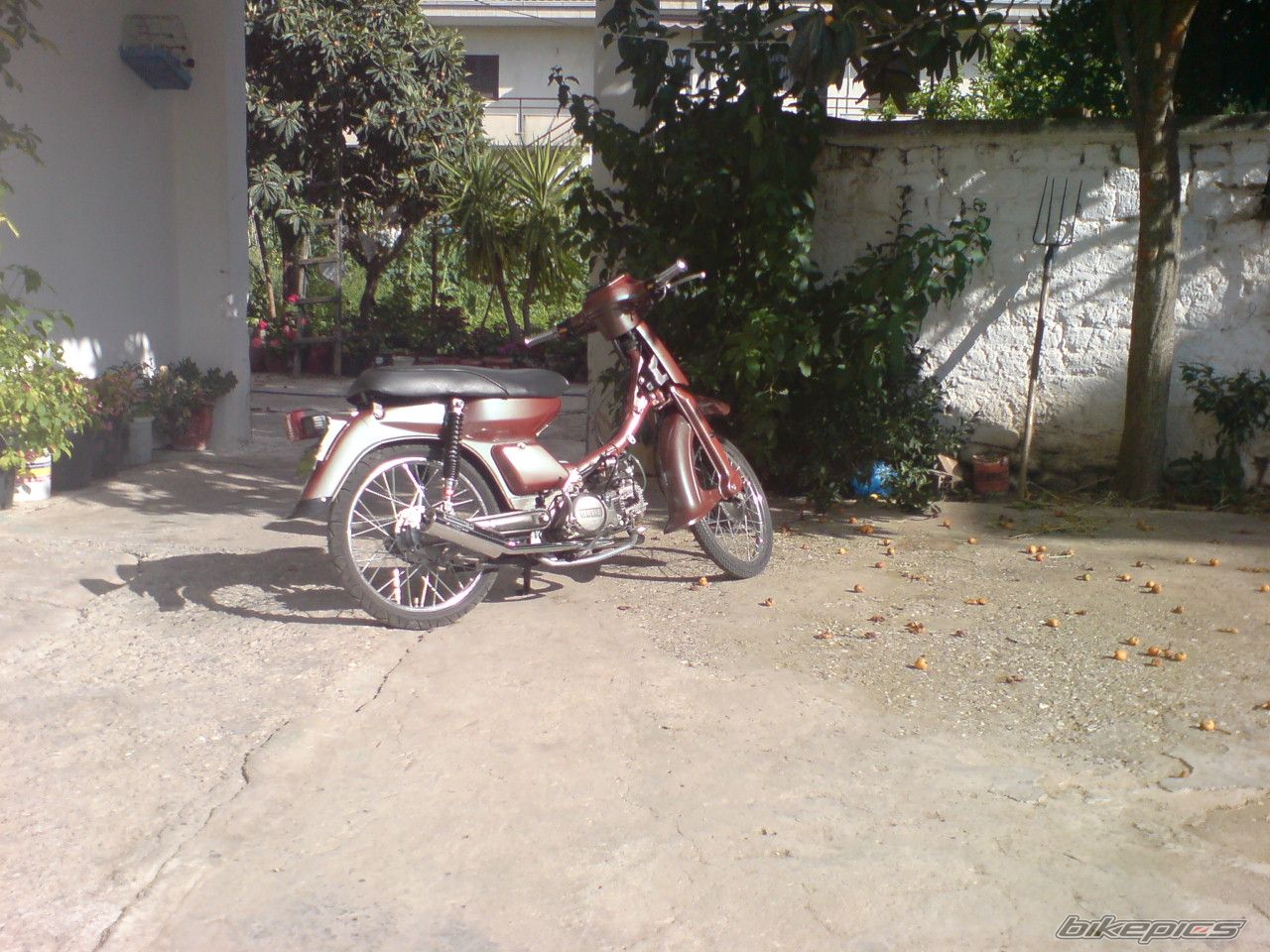 Photo 1340992