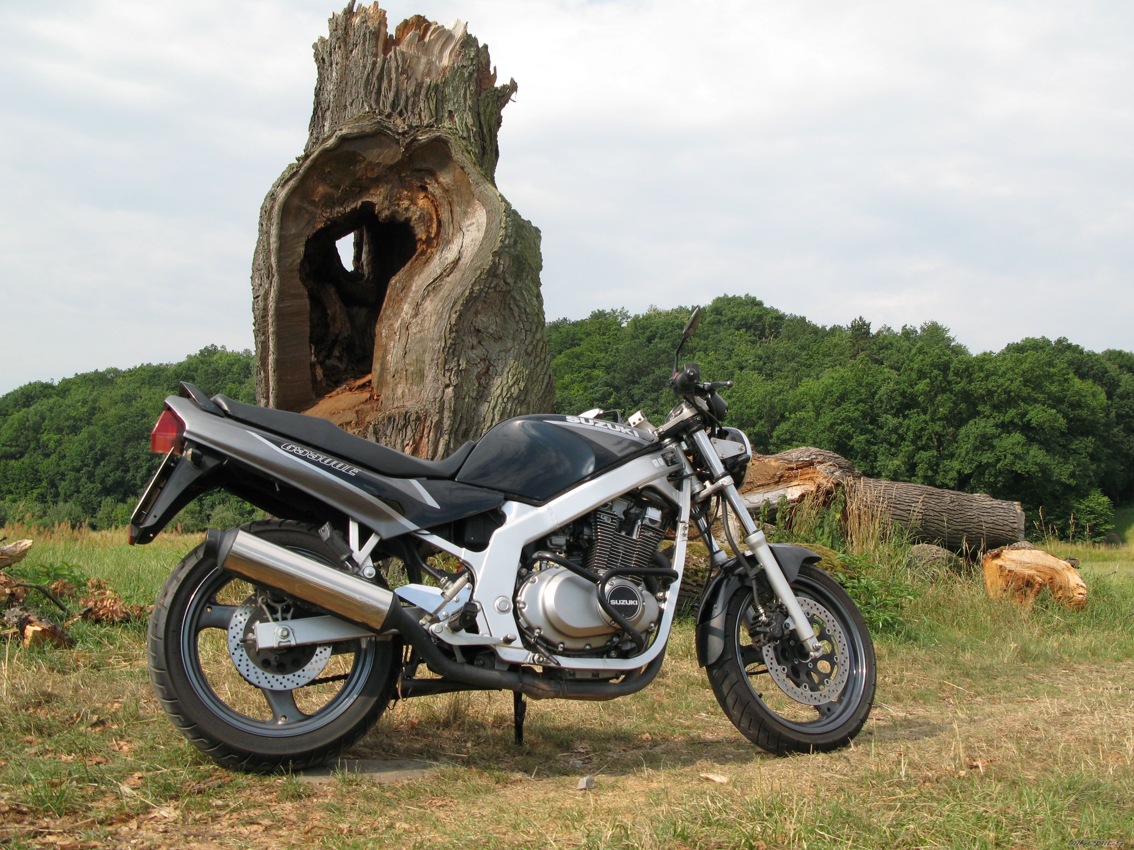 Bike Photo 1341020
