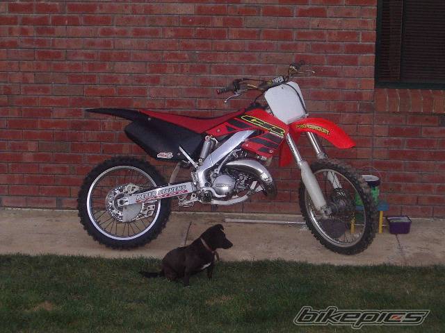 Photo 134103
