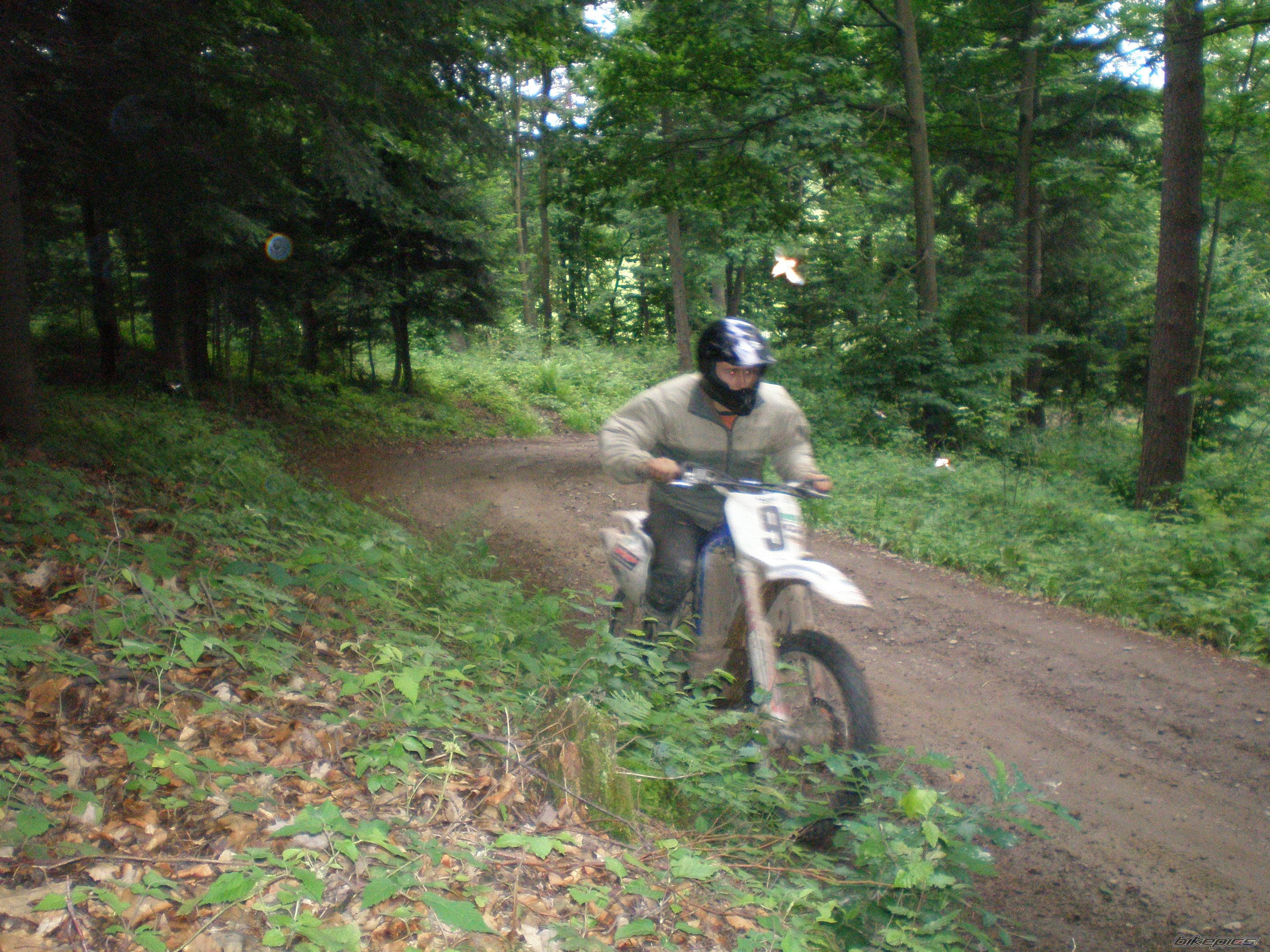Photo 1341102