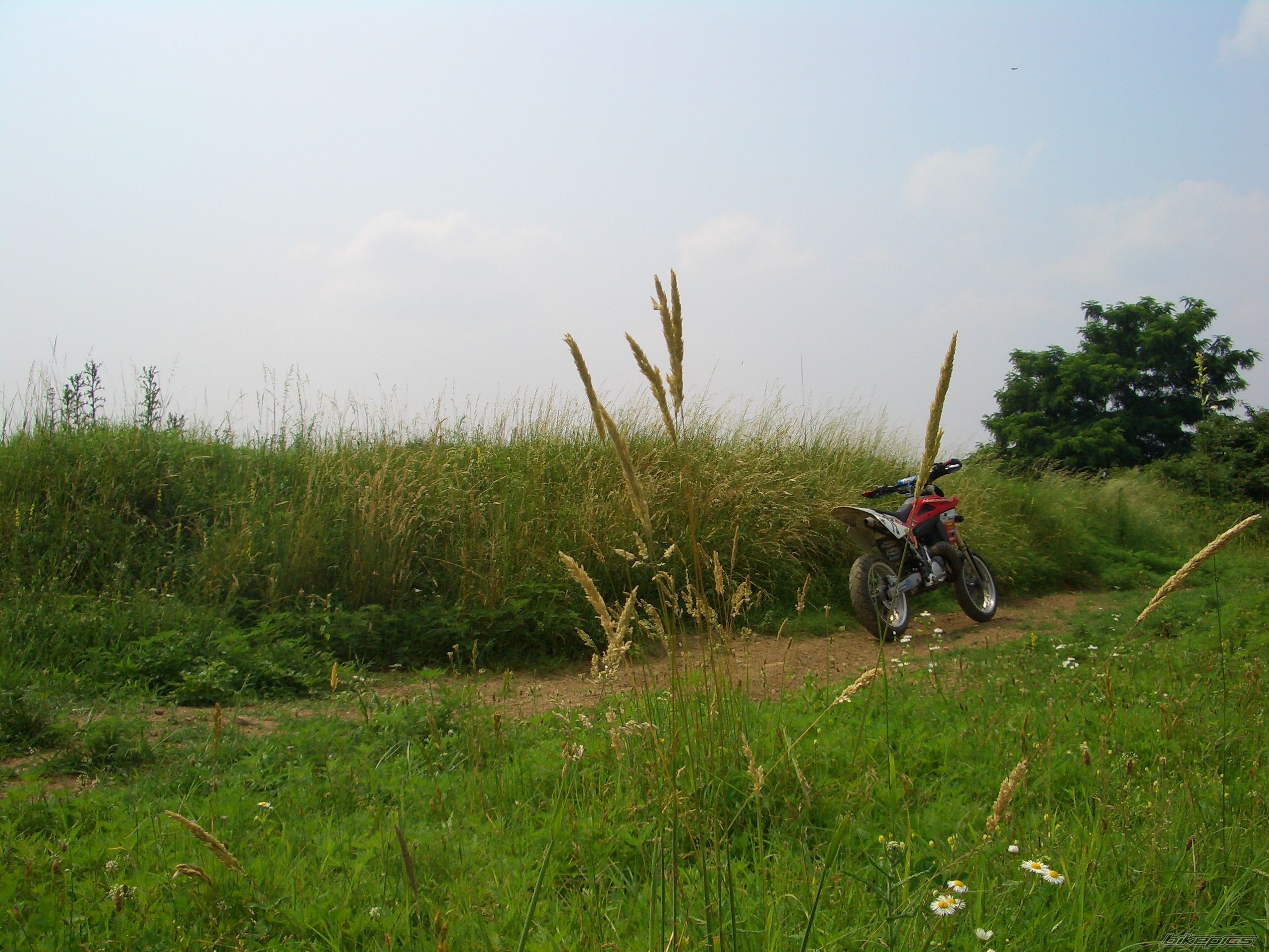 Bike Photo 1341115