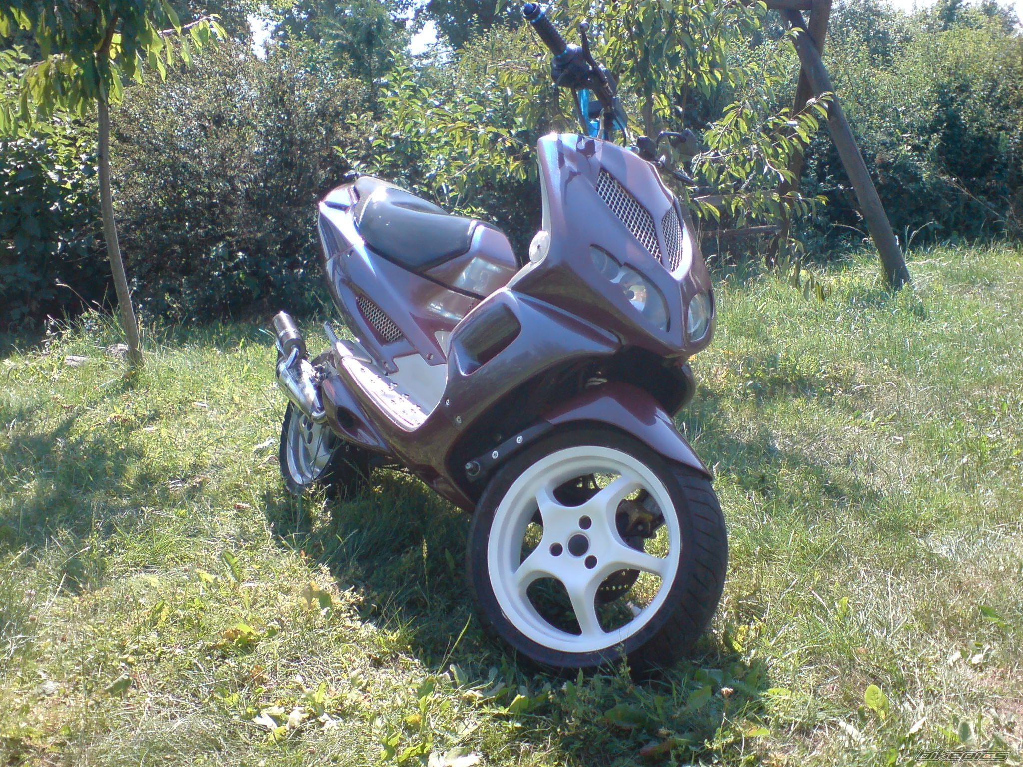 Photo 1341219