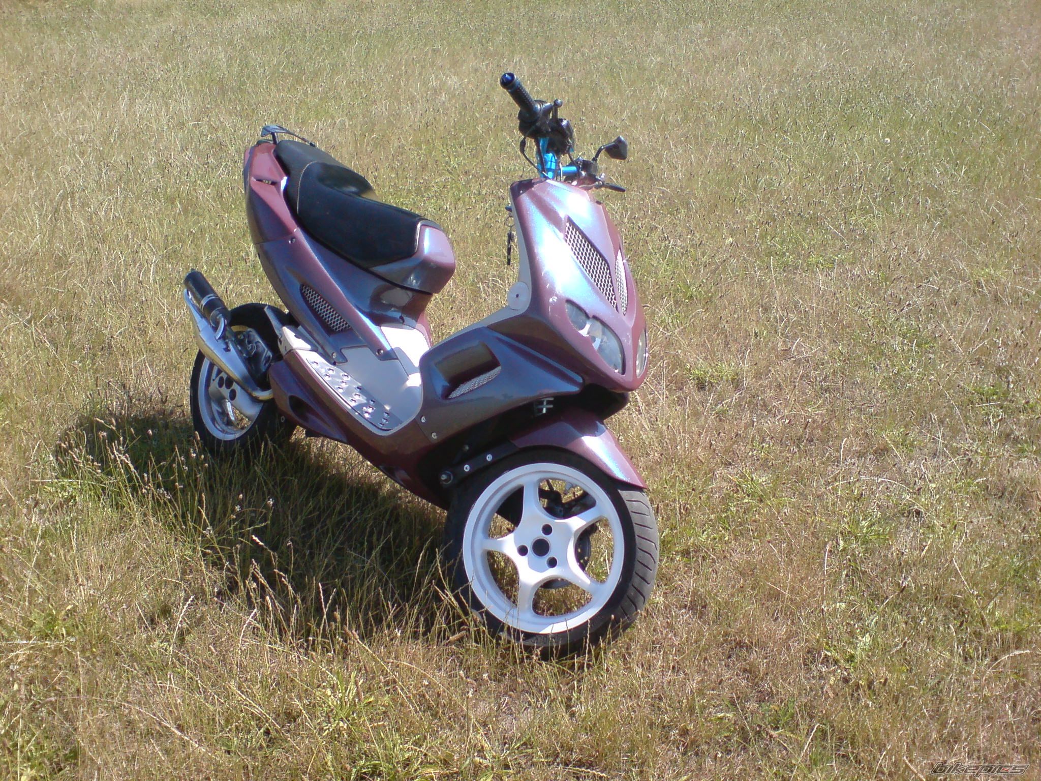Photo 1341237