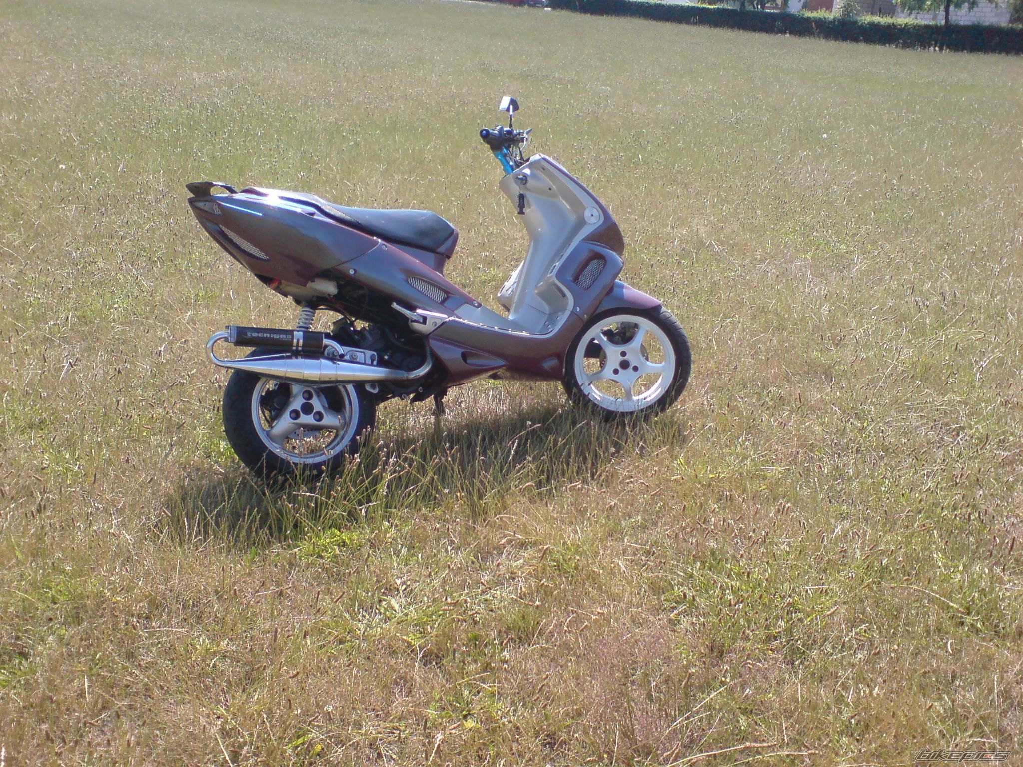 Photo 1341244