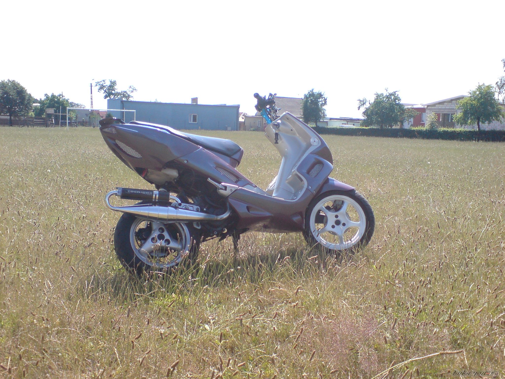 Photo 1341247