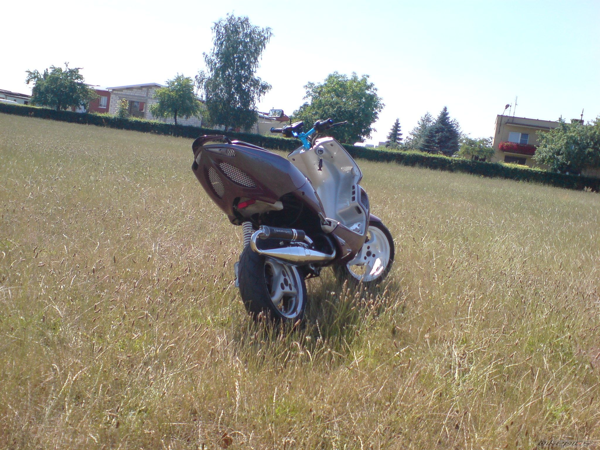Photo 1341250