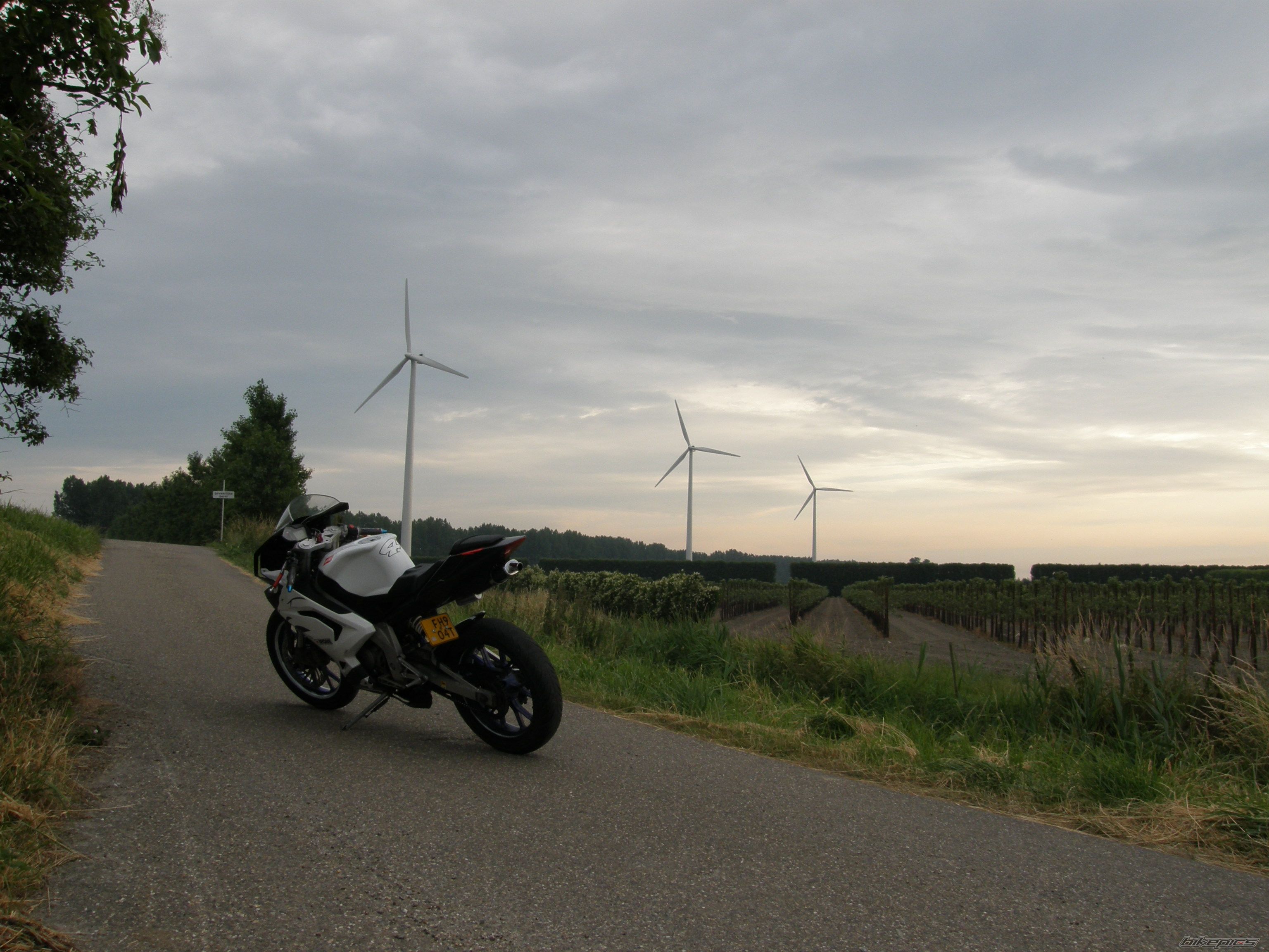 Bike Photo 1341289
