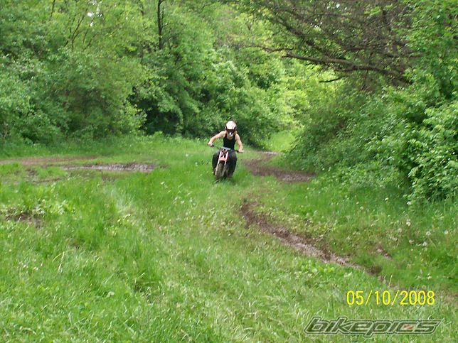 Photo 1341317
