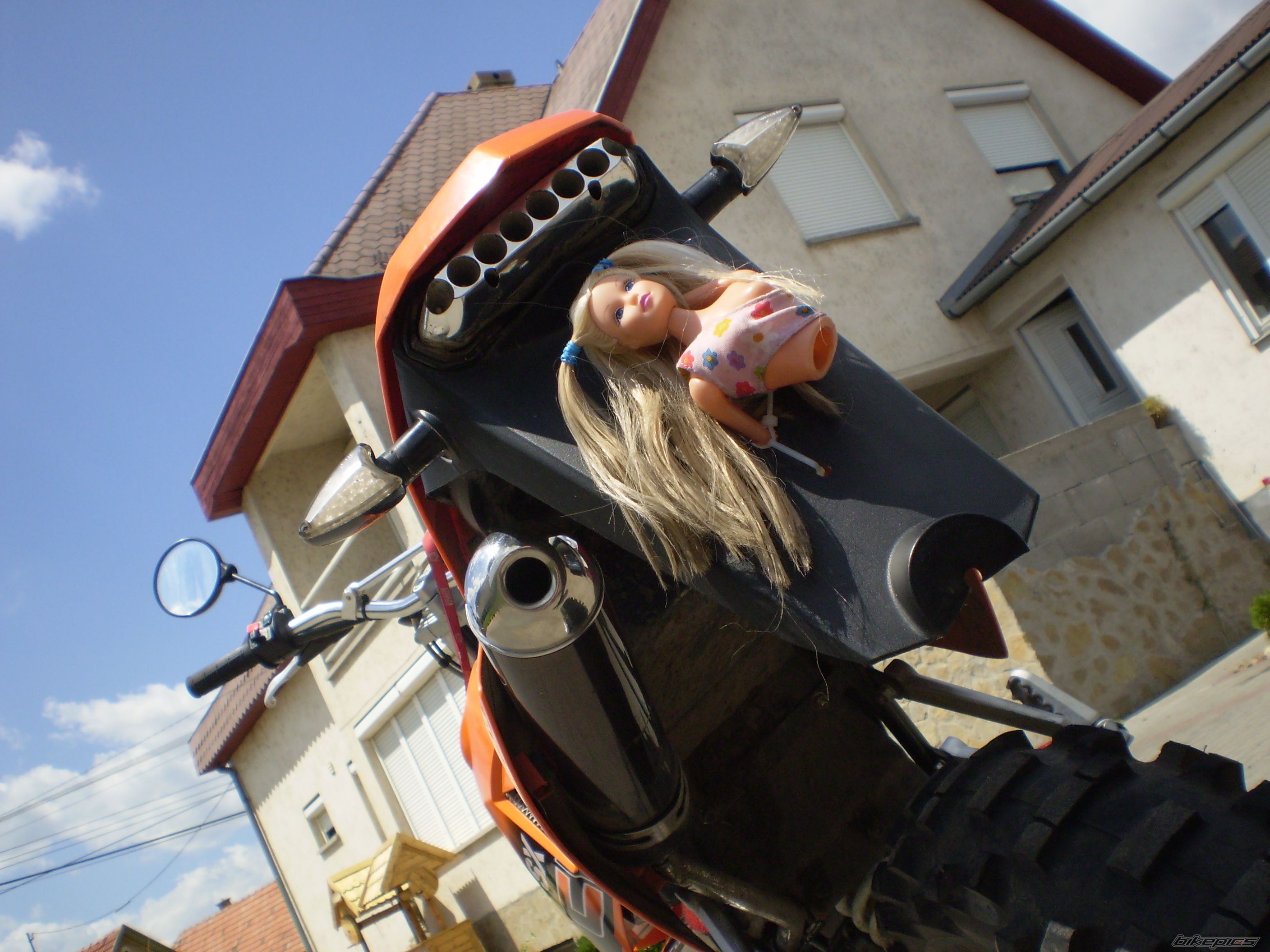 Photo 1341385