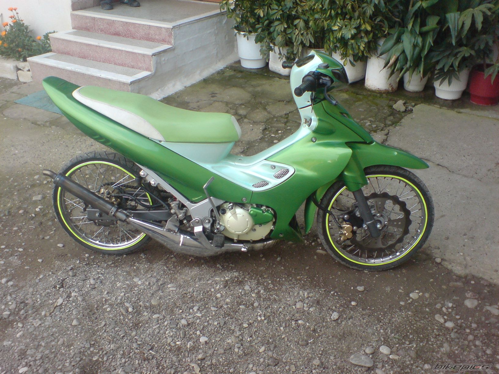Photo 1341424