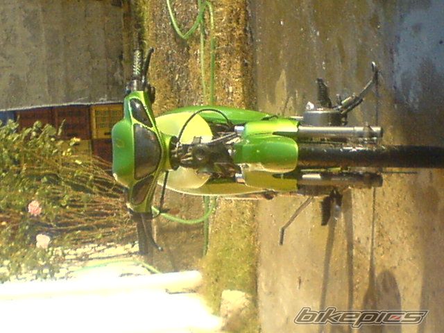 Photo 1341433