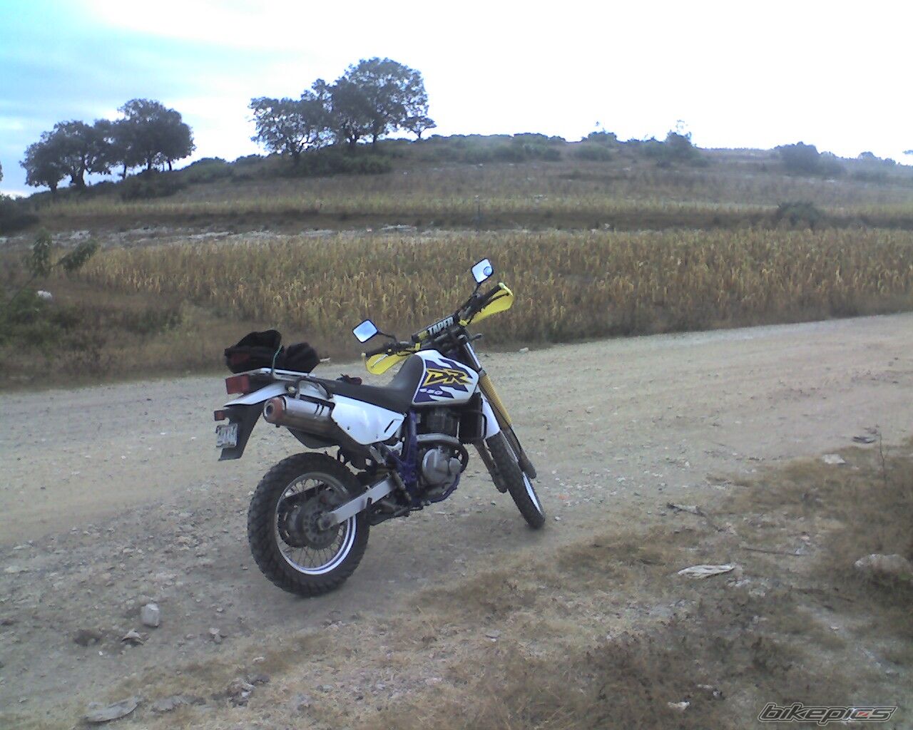 Photo 1341461