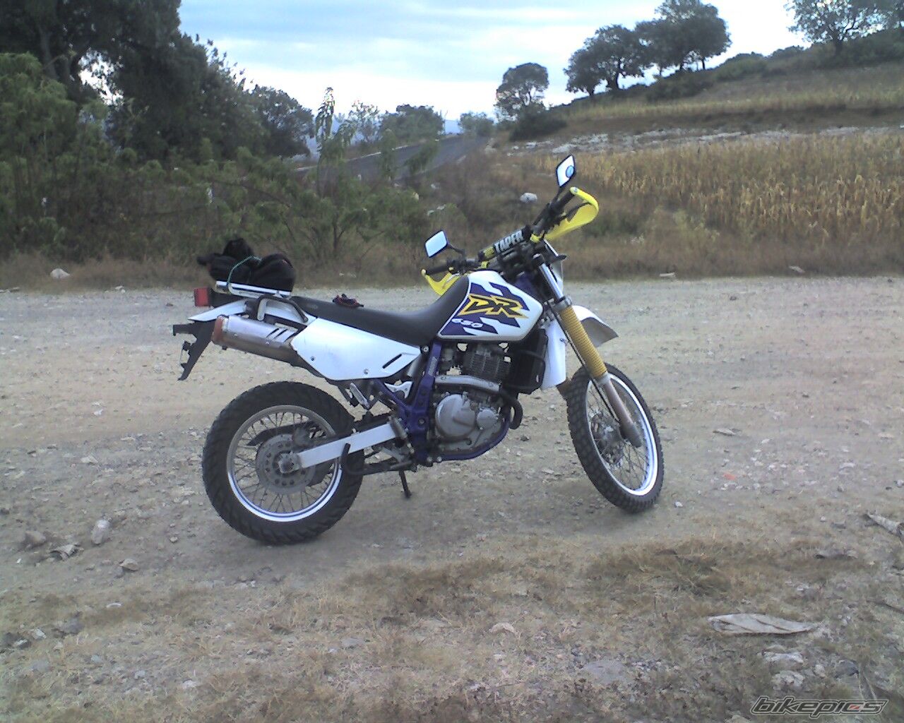 Photo 1341463