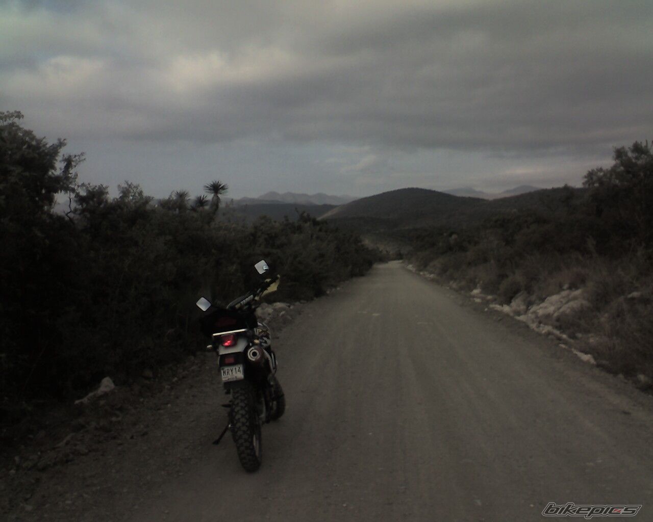 Photo 1341464